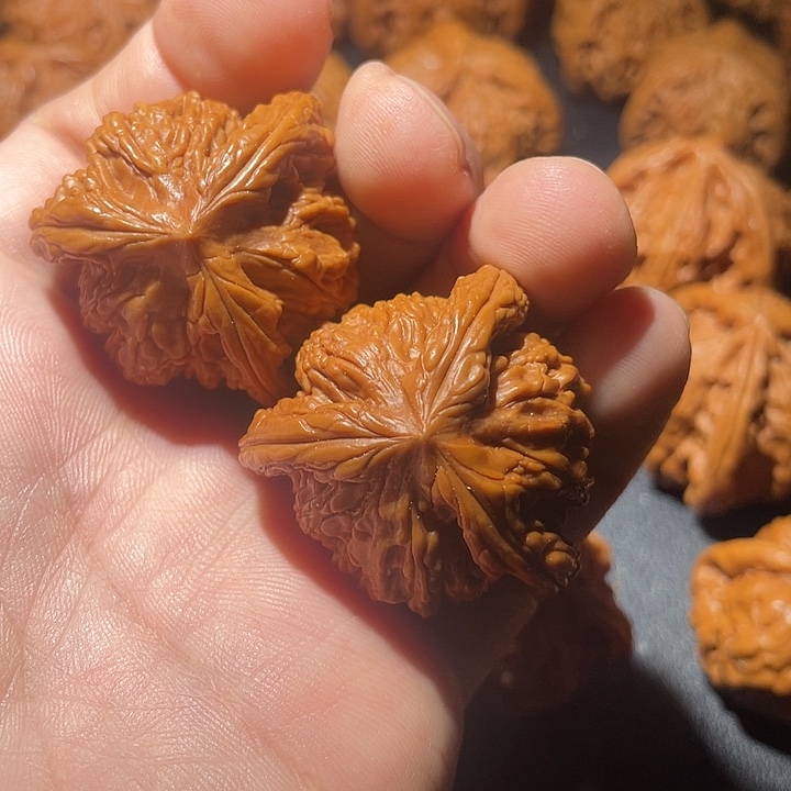 小***鱼文玩核桃吊坠亲亲亲亲