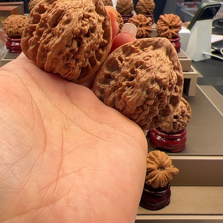 文玩核桃把件41 红狮子 a-010