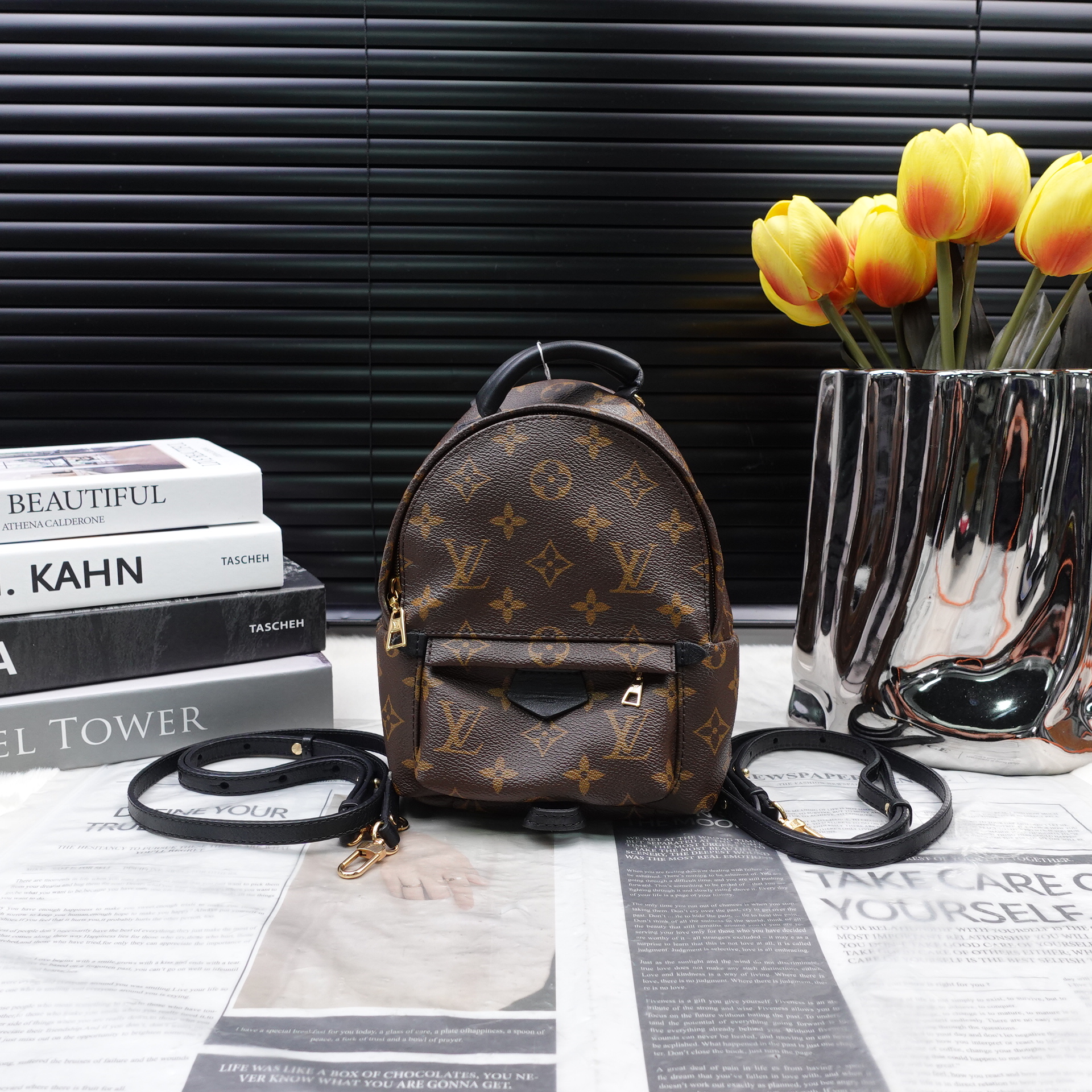 95新 LouisVuitton/路易威登 双肩包/T10342951