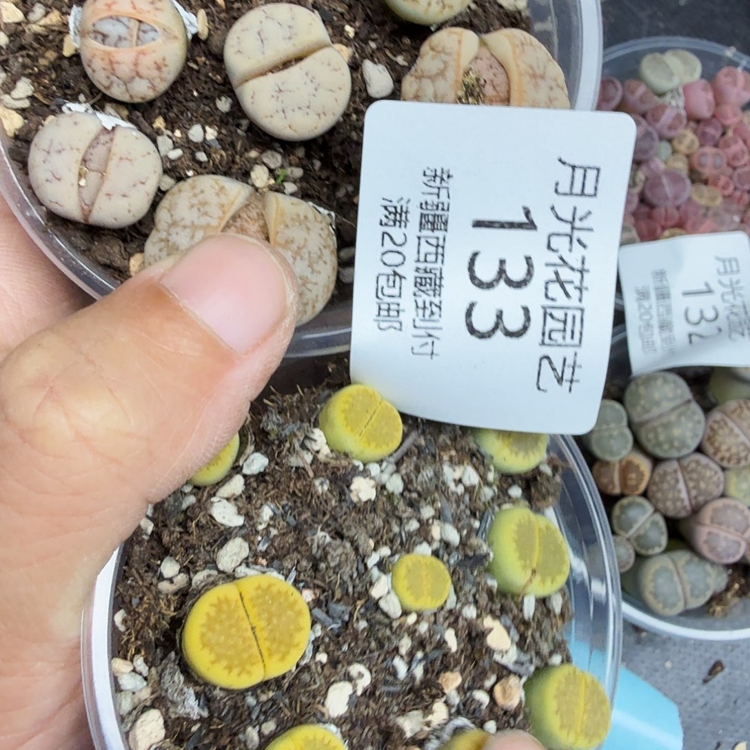 不要说对不起哦133