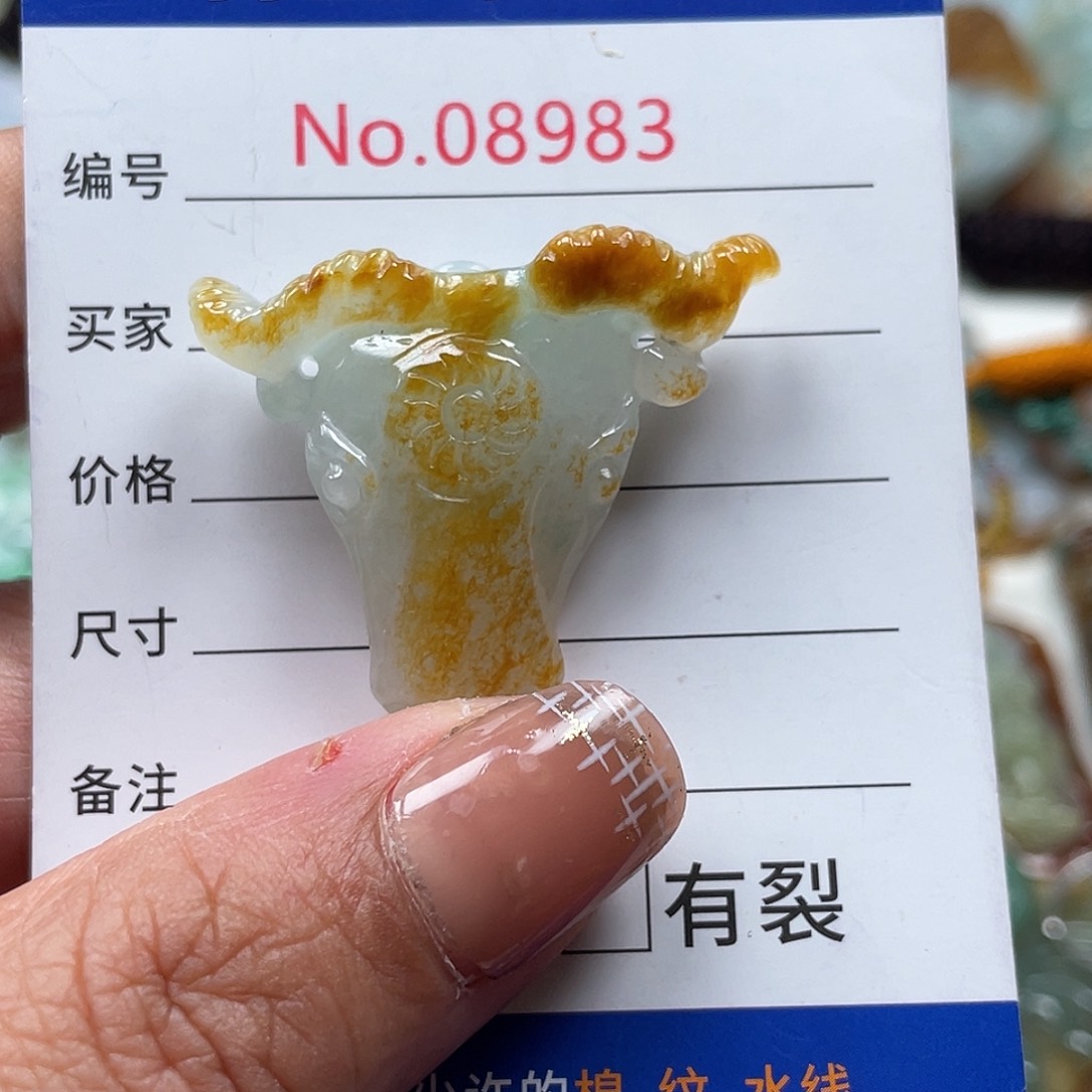 翡翠颈饰未镶嵌翡玉缘翡翠