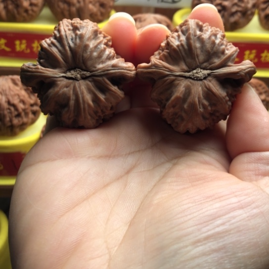 搬***人白狮子，打完底不退不换