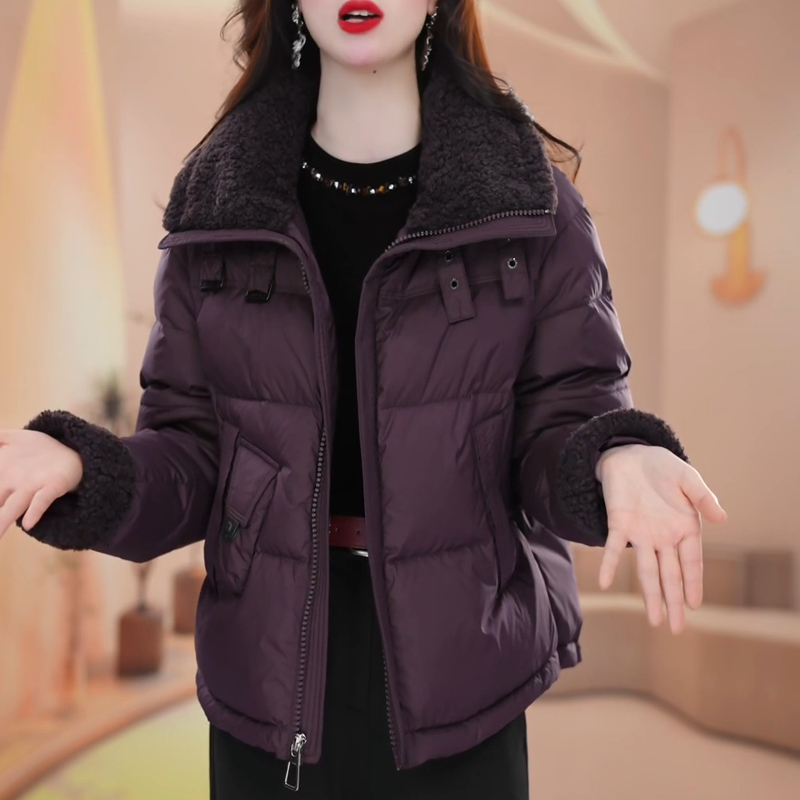 时尚气质2025冬季新款洋气减龄短款休闲百搭加厚保暖白鸭绒羽绒服