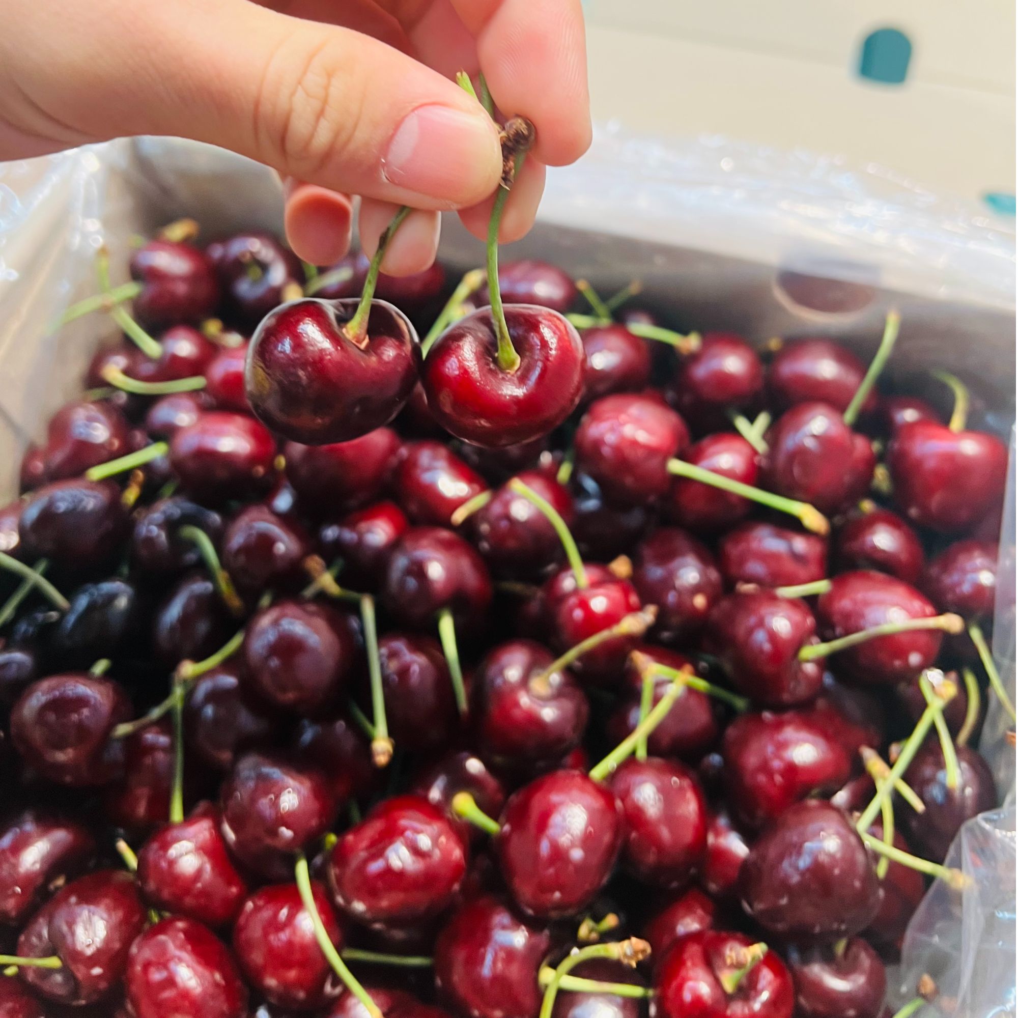 3J车厘子海运500g智利