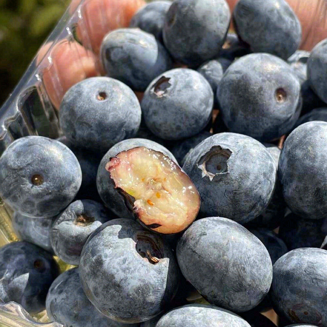 （兴义同城）怡颗莓蓝莓1盒云南省