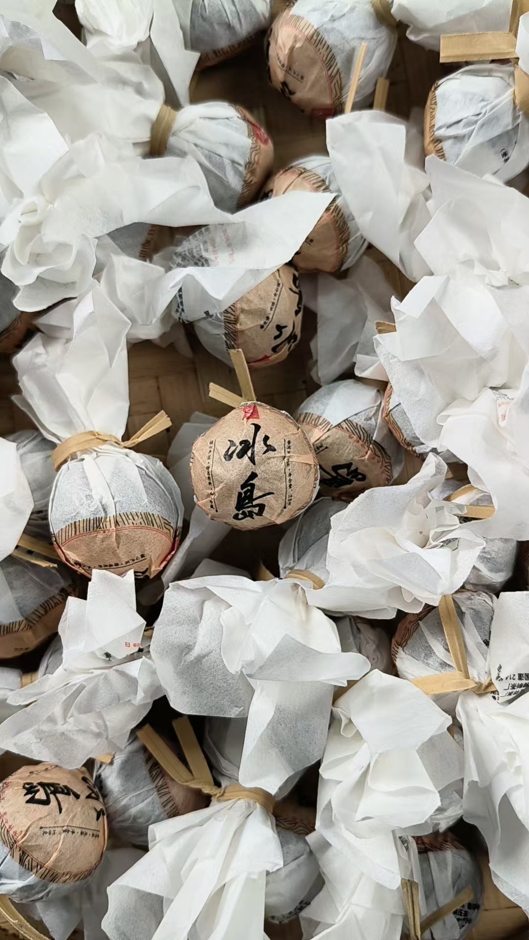 正气强  2024年冰岛老寨龙珠8g/颗  生茶