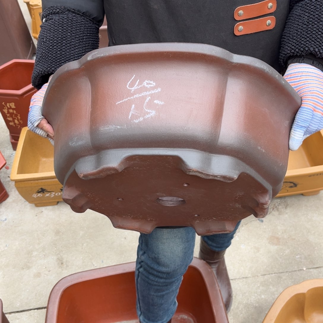 紫砂花盆盆景艺术