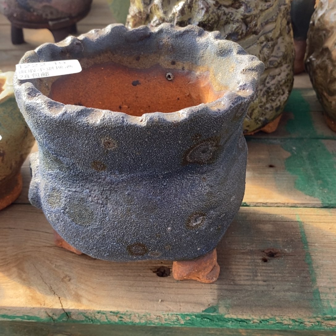 19号多肉盆口径11