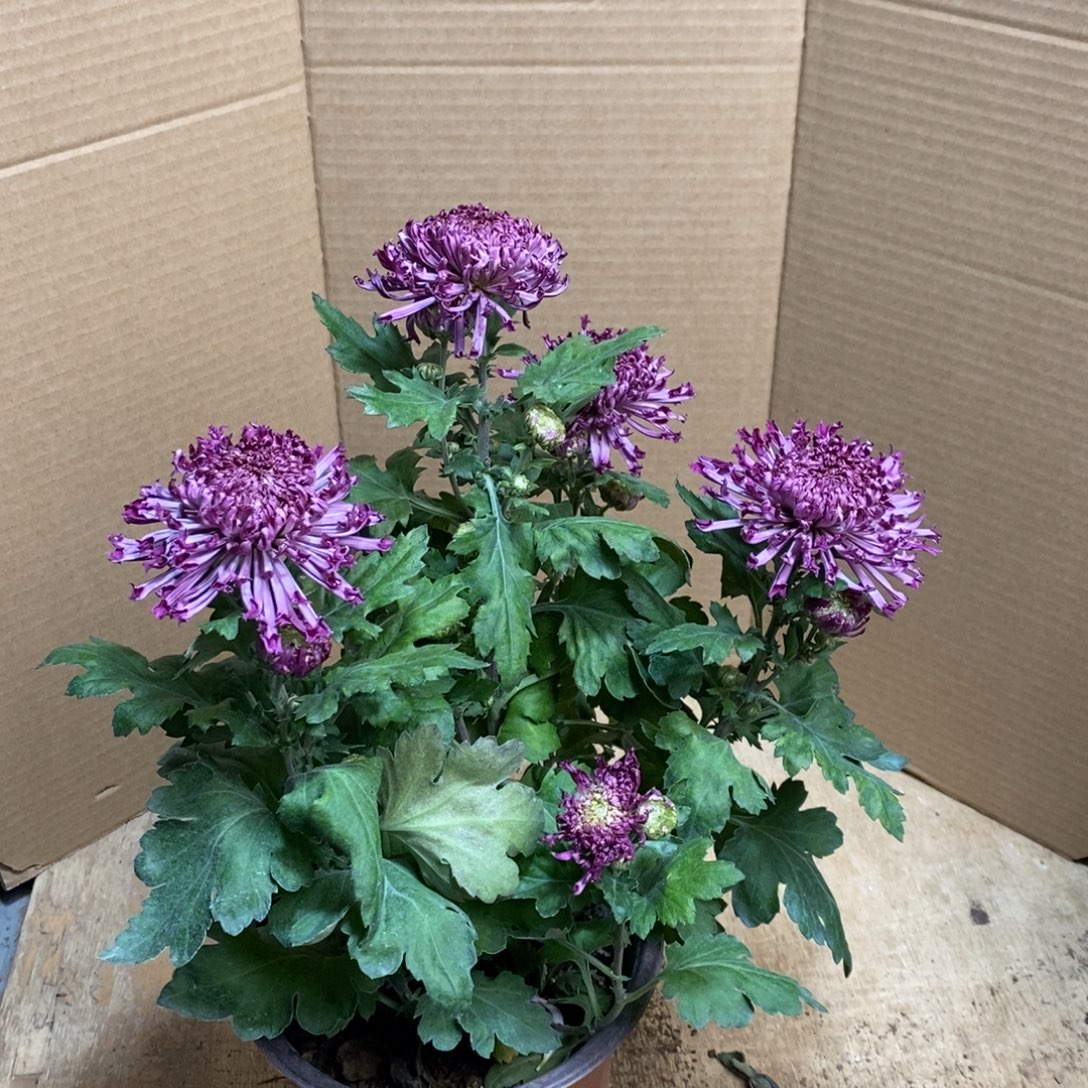 完全开放   0000000134