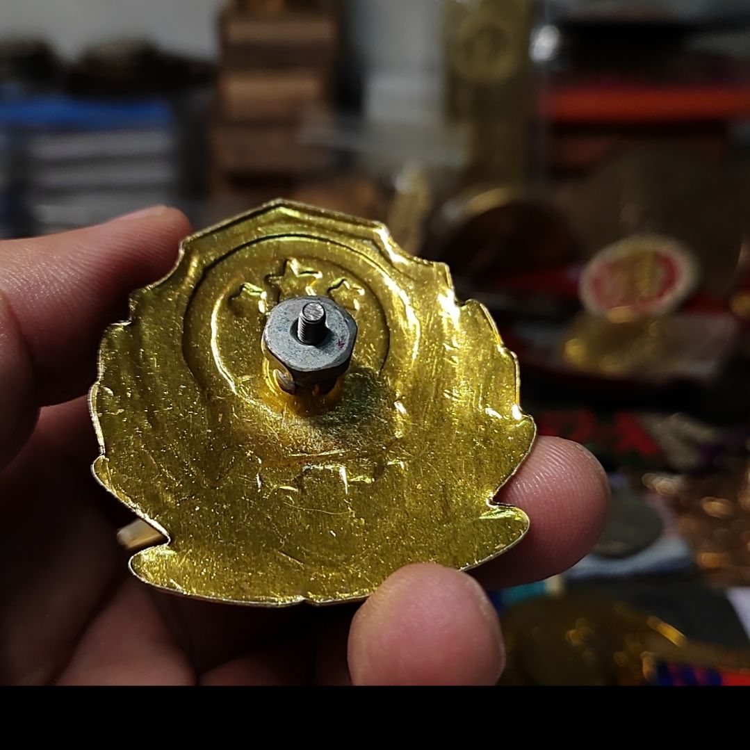 L***r中国现代的纪念章一个