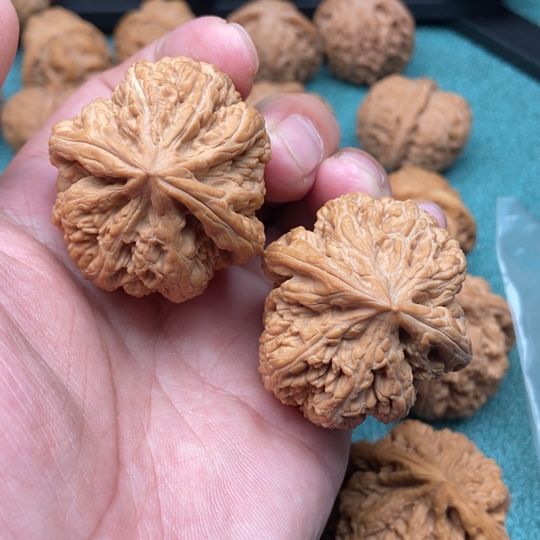 文玩核桃吊坠全品大粗筋