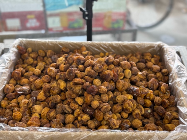 新疆自然晒干的小白杏干