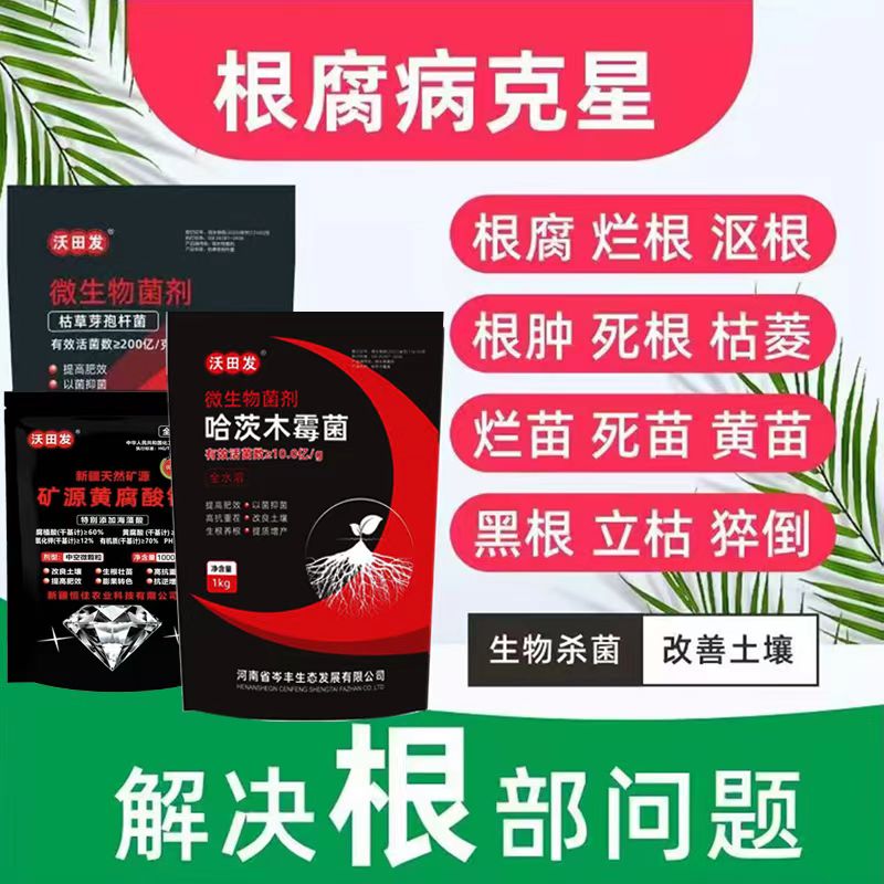 沃田发根腐克星改良土壤预防根腐调酸降碱高抗重茬