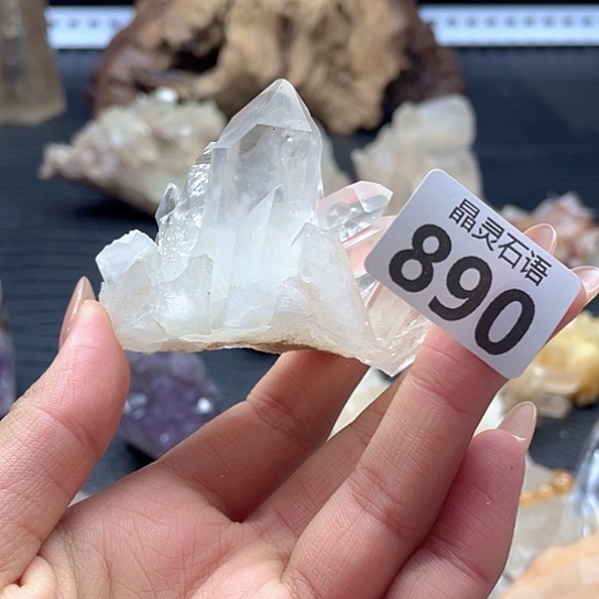 灰***兔大型摆件（非配饰）水晶未镶嵌