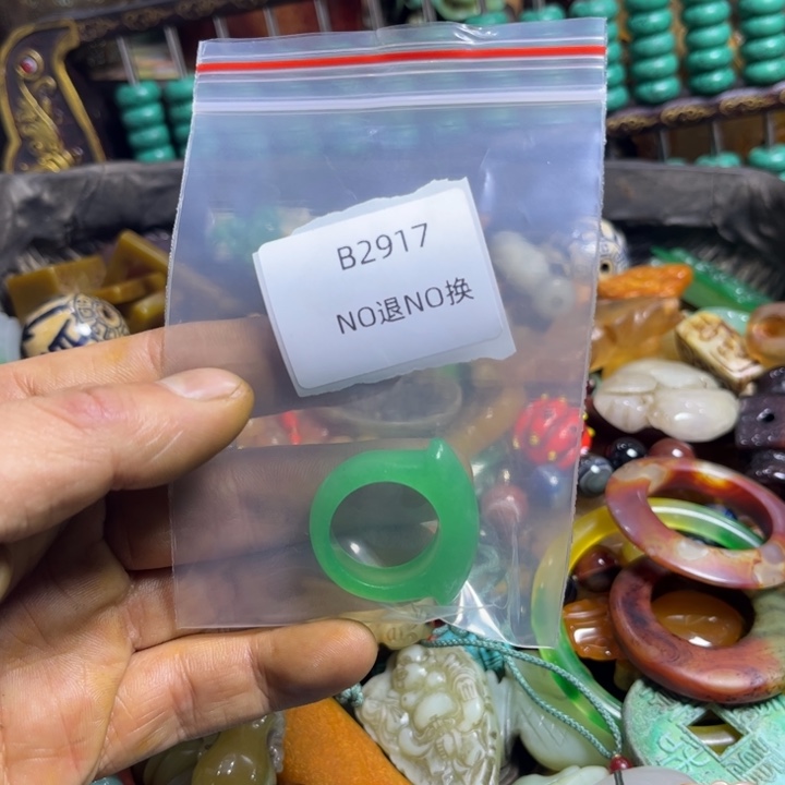 幸***星龙脊菩提吊坠工艺品b2917