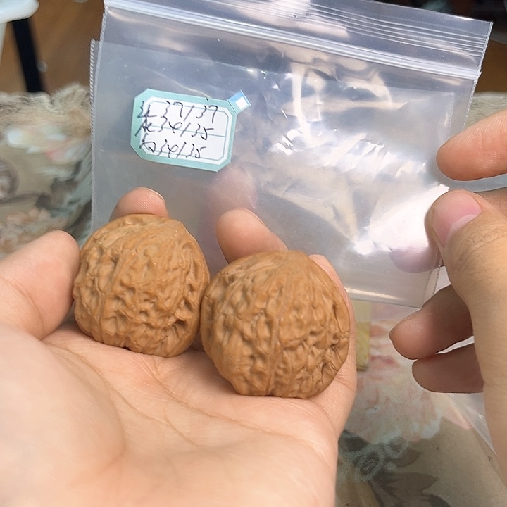文玩核桃把件非嫁接将军帽
