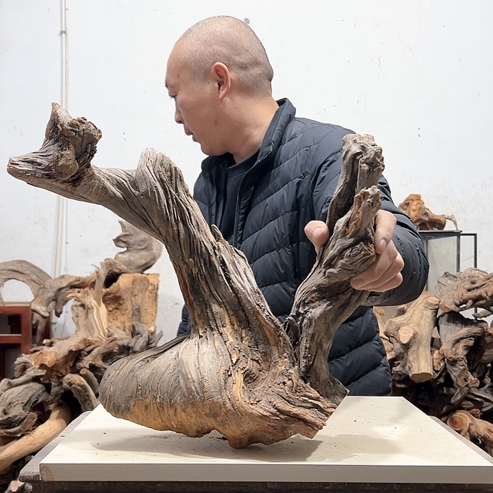 柏木L*H我们都是好孩子呀我也