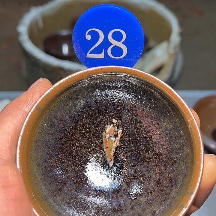 茶盏建盏……建盏……