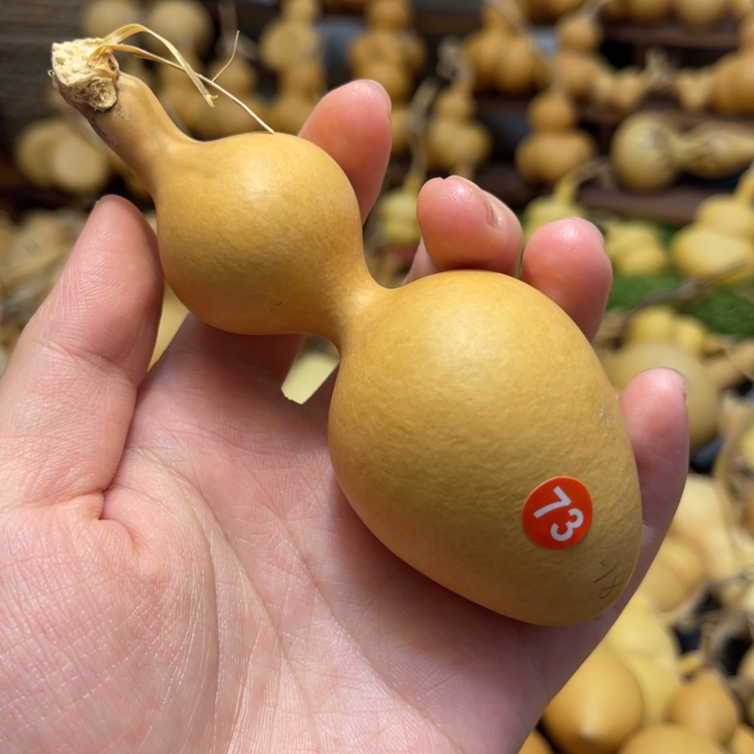 闪拍葫芦链接-73号品