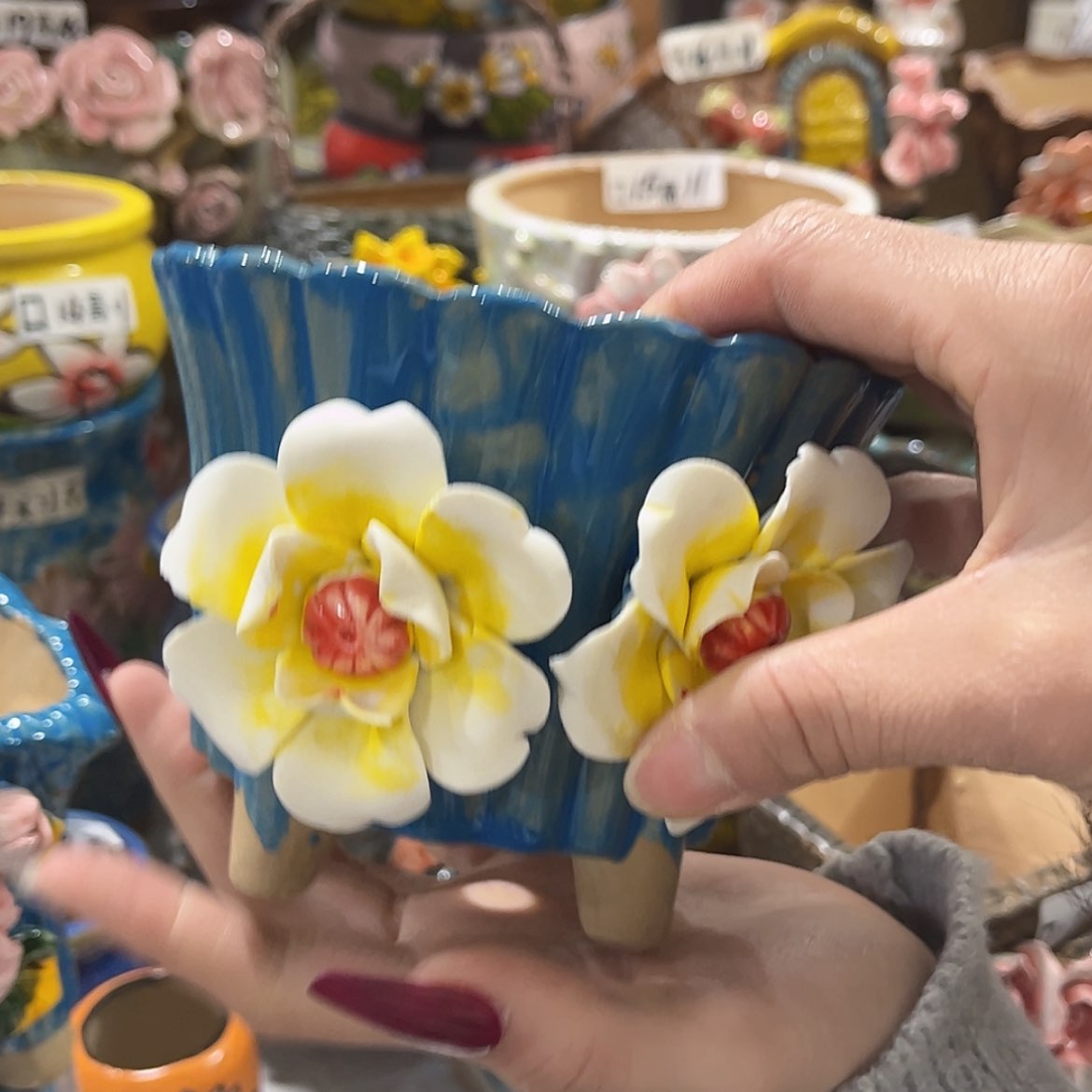 【闪购商品】红陶福利