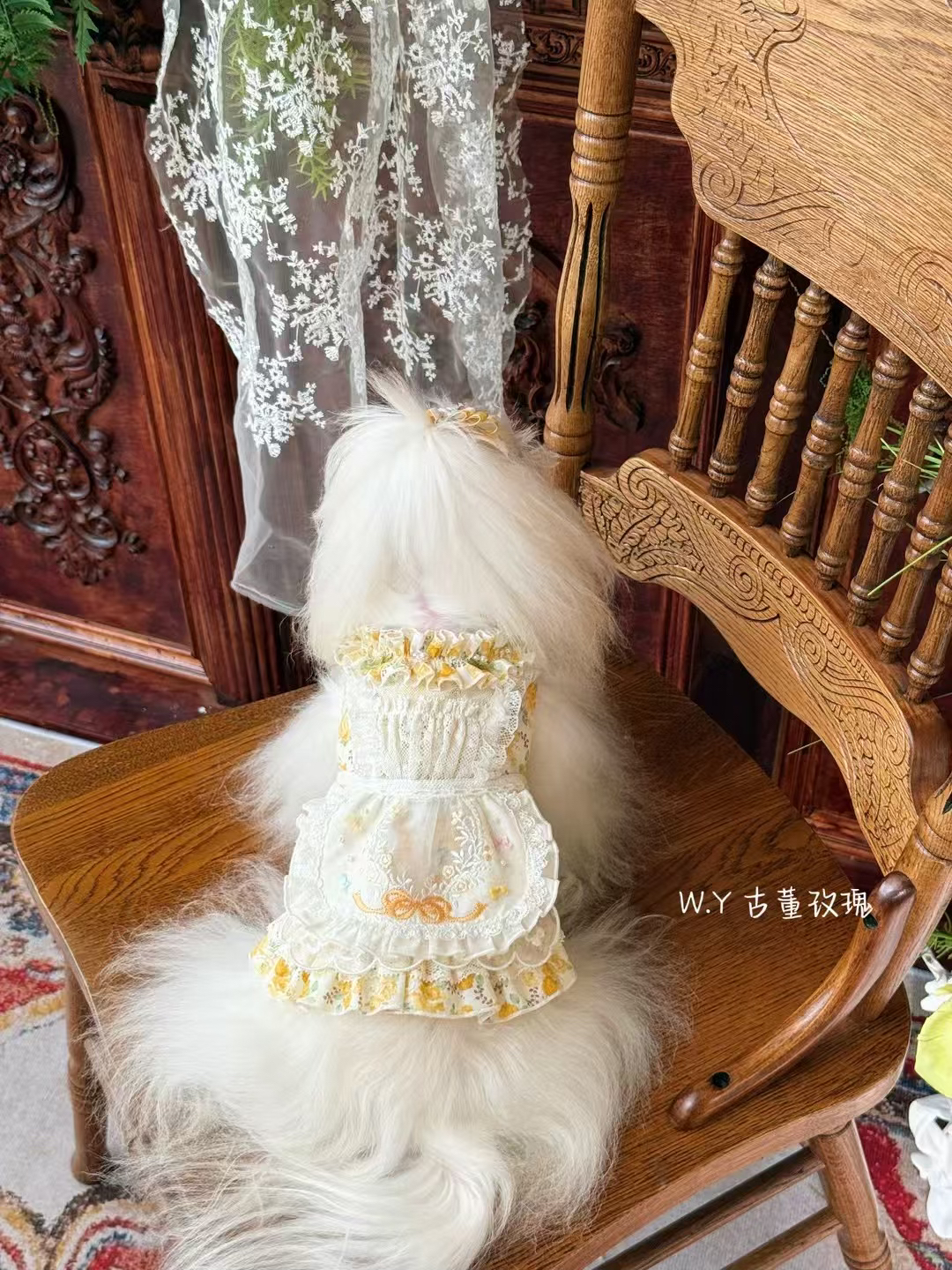 古董玫瑰连衣裙两件套