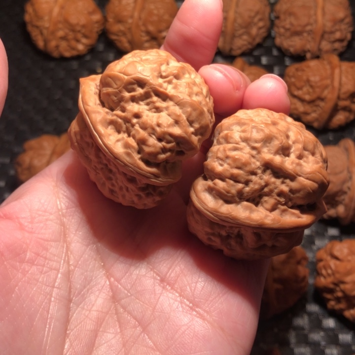 北***子文玩核桃把件蛤蟆