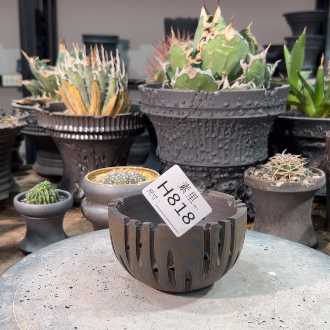 景德镇手工素里内口9高6.5