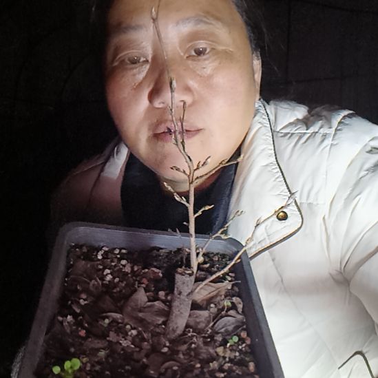 五***财无花朵426545688888