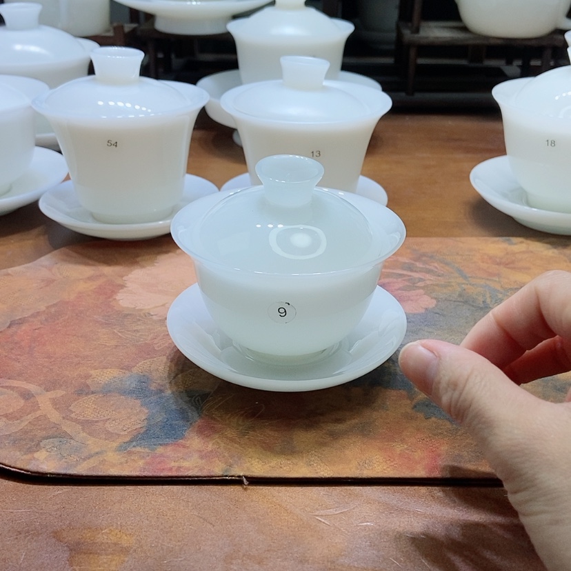 【闪购商品】到处有各种动物在生活和运动当中