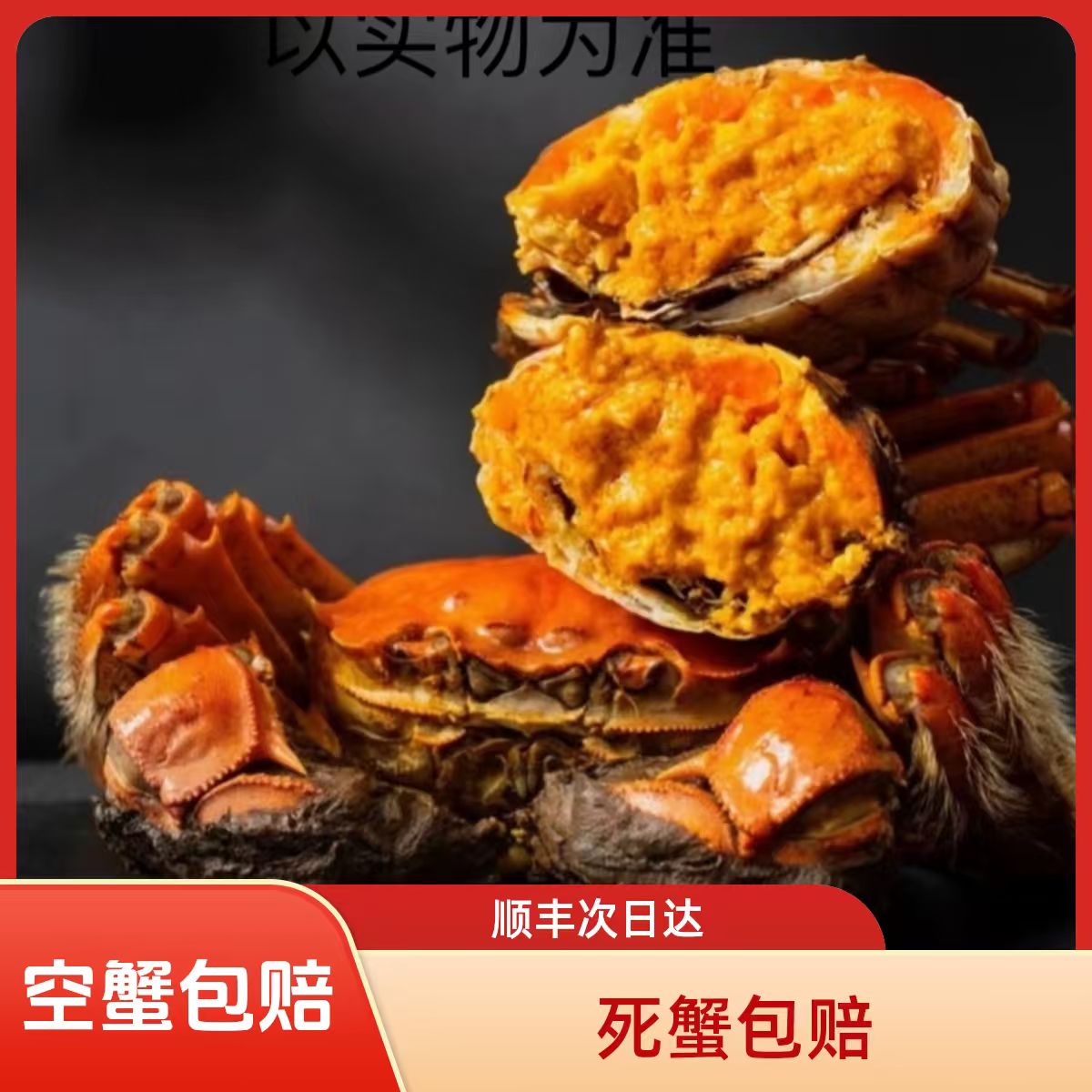 【活蟹】【全母蟹】盘锦河蟹海鲜 到手10只大母蟹 2两-1.7两/只 【顺丰明天到】死蟹按只赔