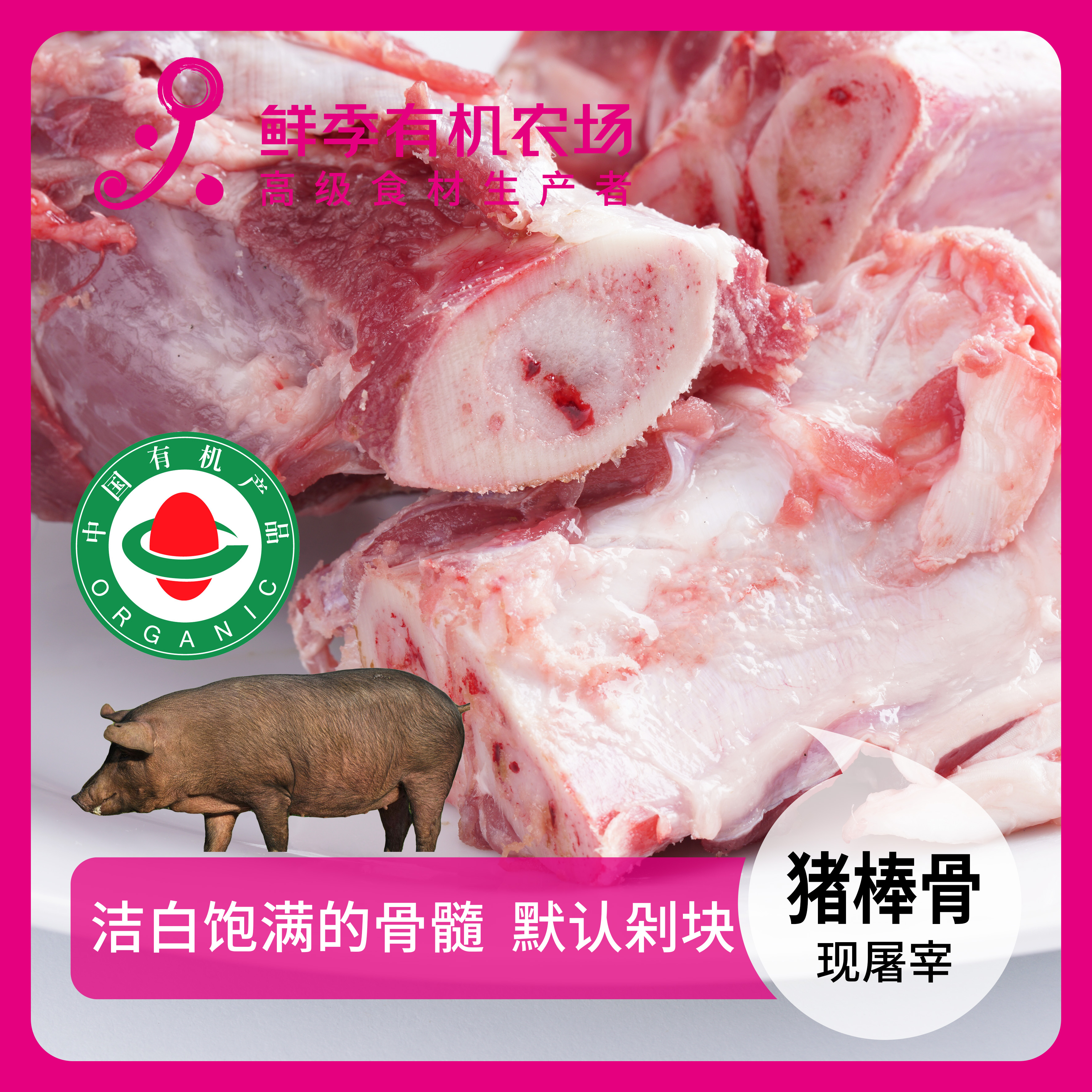 鲜季全自产 有机猪棒骨1根约1000克左右 黑猪 鲜肉非冻品/空运