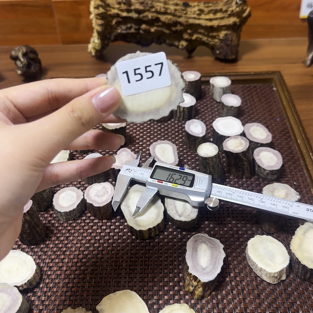 鹿骨手串/手链1557 片