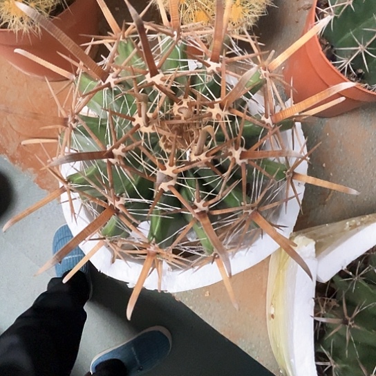 飞***富贵玉谢谢谢谢谢谢谢