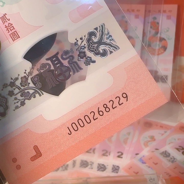 塑料小司令龙珠号尾8229单张