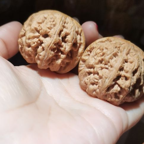 猴头核桃吊坠44粗筋