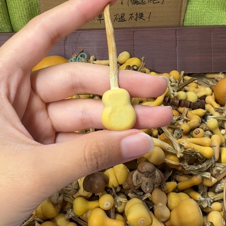 葫芦葫芦葫芦葫芦葫芦