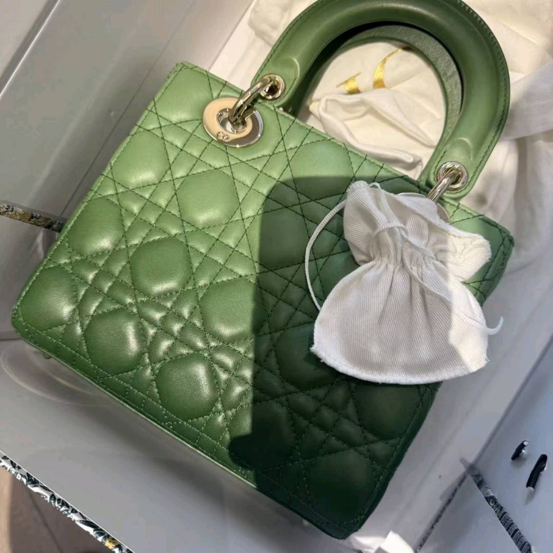 95新 DIOR/迪奥 小野专属/单肩包/TL1583