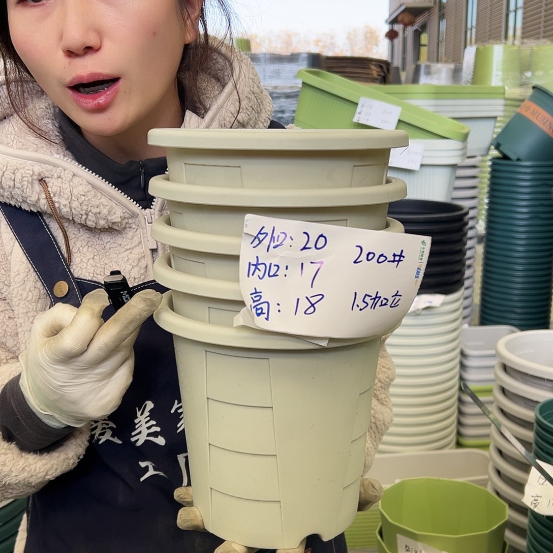 玫瑰盆200#米白5个无托