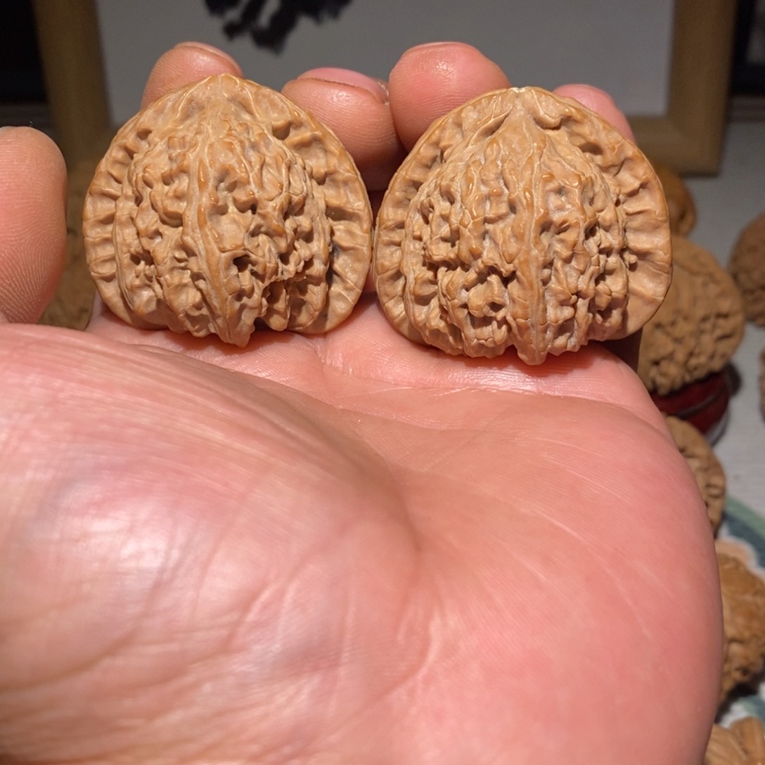 文玩核桃把件41尺白狮子