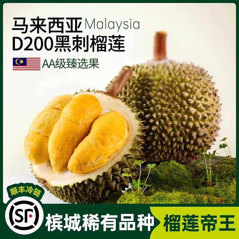 【一物一拍】鲜果黑刺D200马来西亚树熟榴莲香甜软糯口感丰富