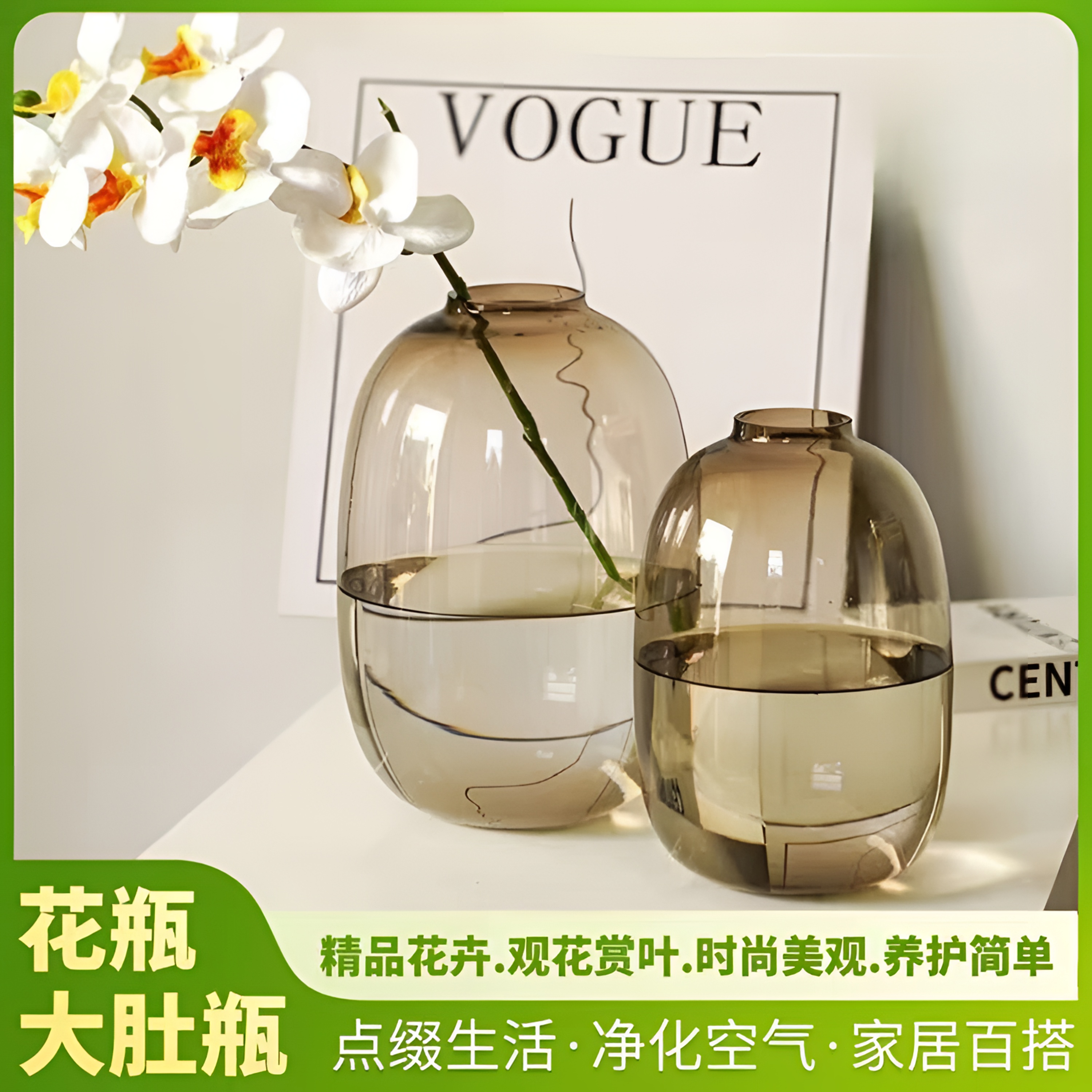 兰怜【简约大肚瓶】雪柳龙柳马醉木吊 室内绿植水养插花 家居生活