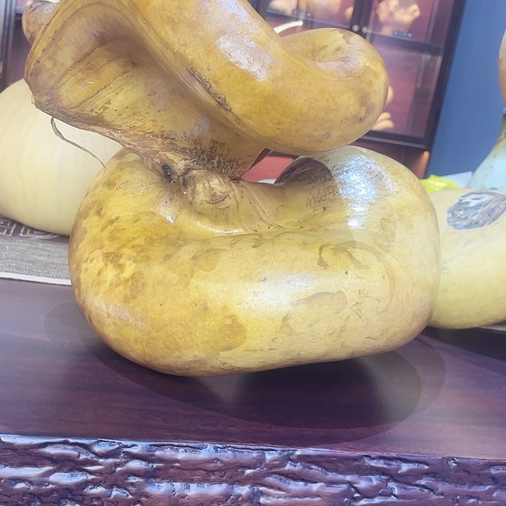 老**老天裂宽筋大异形，东西已看好不退不换