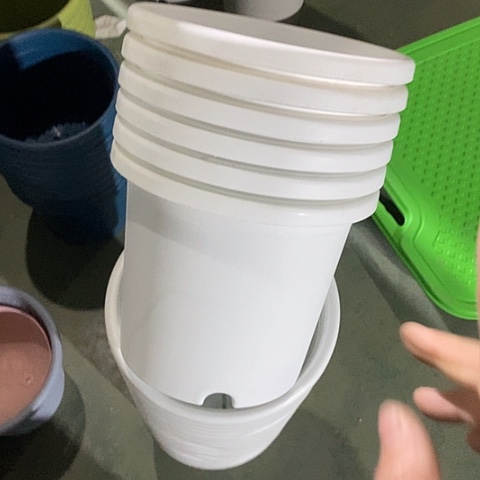 树脂有灰4号8个无托白