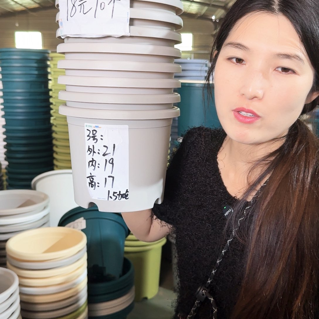 微瑕3#无拖灰白10个