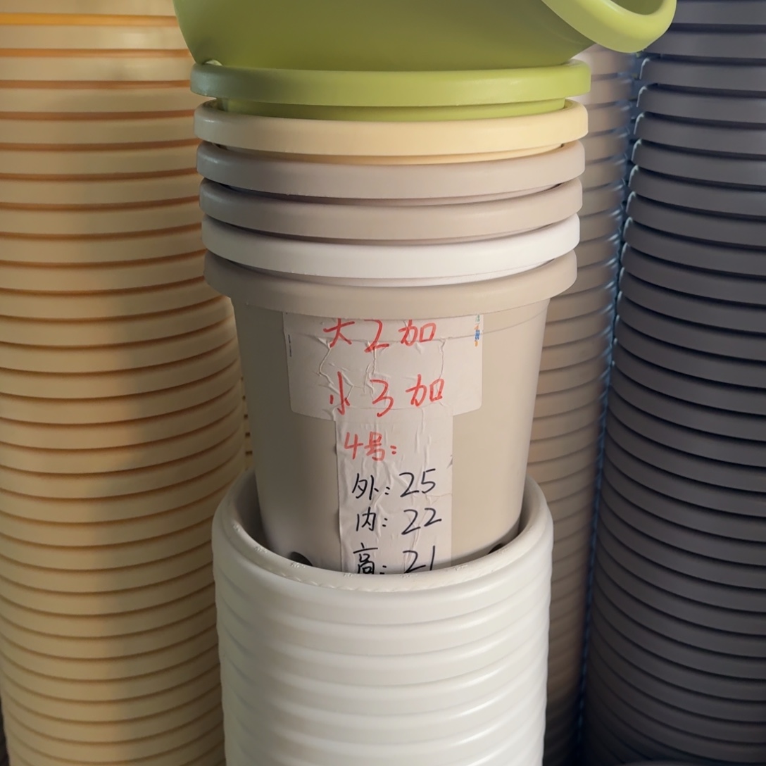 四季4#口径21无拖果绿5个