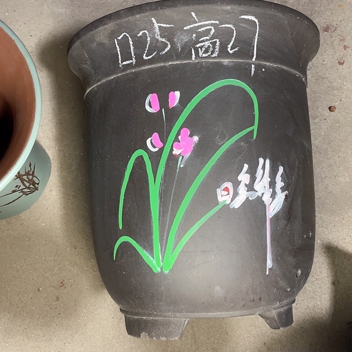 红陶紫砂紫砂紫砂