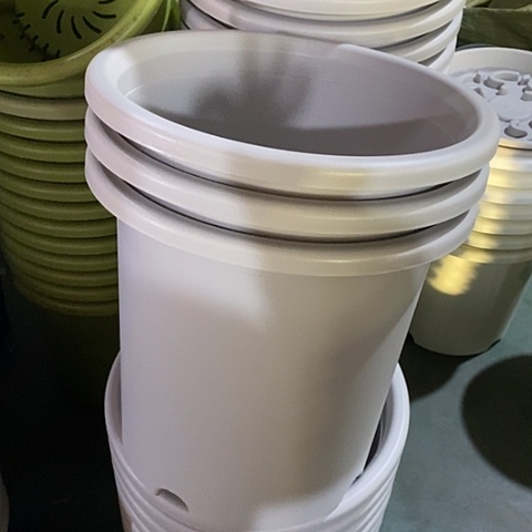 树脂微瑕8号3个无托灰白