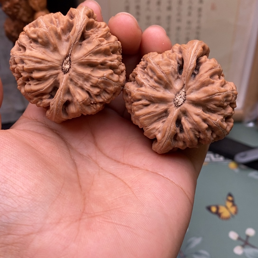 文玩核桃把件46大粗筋