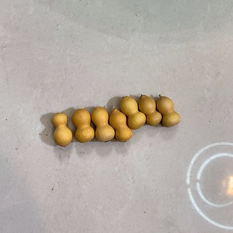 【闪购商品】铁****?葫芦葫芦葫芦葫芦葫芦