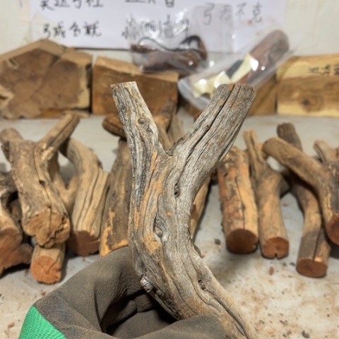 大果紫檀（缅甸花梨）潇****j